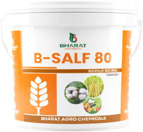 B-Salf 80